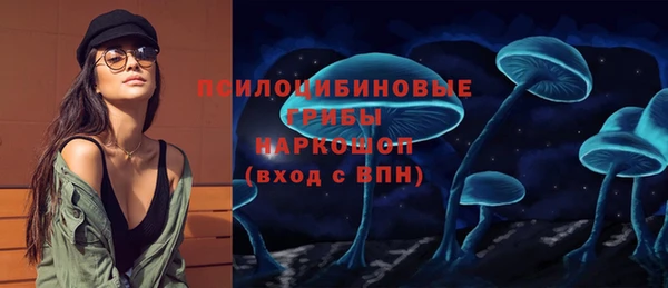 марки lsd Инта